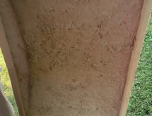 Air Filter Importance